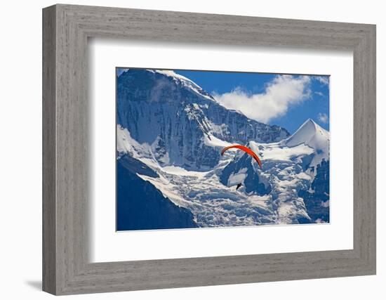 Paragliding in Swiss Alps Jungfrau Region, Switzerland-swisshippo-Framed Photographic Print