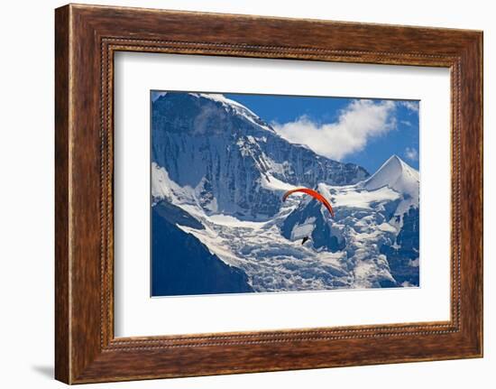 Paragliding in Swiss Alps Jungfrau Region, Switzerland-swisshippo-Framed Photographic Print