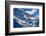 Paragliding in Swiss Alps Jungfrau Region, Switzerland-swisshippo-Framed Photographic Print