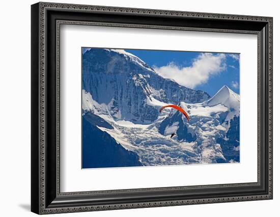 Paragliding in Swiss Alps Jungfrau Region, Switzerland-swisshippo-Framed Photographic Print