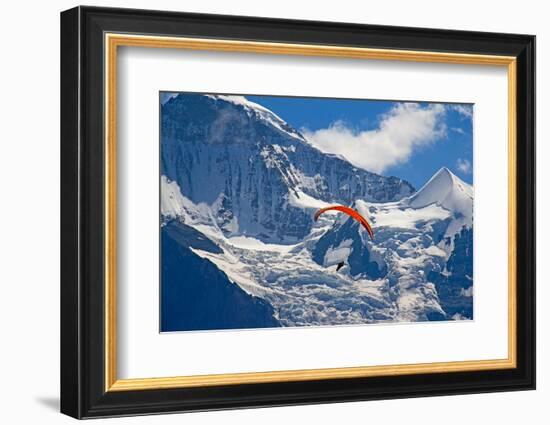 Paragliding in Swiss Alps Jungfrau Region, Switzerland-swisshippo-Framed Photographic Print