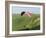 Paragliding Off Mam Tor, Derbyshire, Peak District, England, United Kingdom, Europe-Ben Pipe-Framed Photographic Print