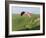 Paragliding Off Mam Tor, Derbyshire, Peak District, England, United Kingdom, Europe-Ben Pipe-Framed Photographic Print