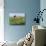 Paragliding Off Mam Tor, Derbyshire, Peak District, England, United Kingdom, Europe-Ben Pipe-Photographic Print displayed on a wall