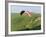 Paragliding Off Mam Tor, Derbyshire, Peak District, England, United Kingdom, Europe-Ben Pipe-Framed Photographic Print