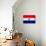 Paraguay Flag Design with Wood Patterning - Flags of the World Series-Philippe Hugonnard-Mounted Art Print displayed on a wall