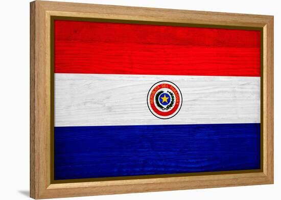 Paraguay Flag Design with Wood Patterning - Flags of the World Series-Philippe Hugonnard-Framed Stretched Canvas