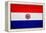 Paraguay Flag Design with Wood Patterning - Flags of the World Series-Philippe Hugonnard-Framed Stretched Canvas