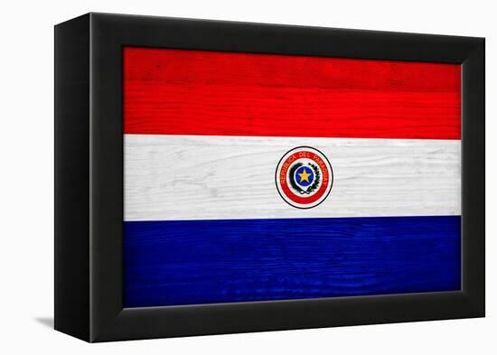 Paraguay Flag Design with Wood Patterning - Flags of the World Series-Philippe Hugonnard-Framed Stretched Canvas