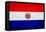 Paraguay Flag Design with Wood Patterning - Flags of the World Series-Philippe Hugonnard-Framed Stretched Canvas