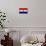 Paraguay Flag Design with Wood Patterning - Flags of the World Series-Philippe Hugonnard-Framed Stretched Canvas displayed on a wall