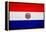 Paraguay Flag Design with Wood Patterning - Flags of the World Series-Philippe Hugonnard-Framed Stretched Canvas