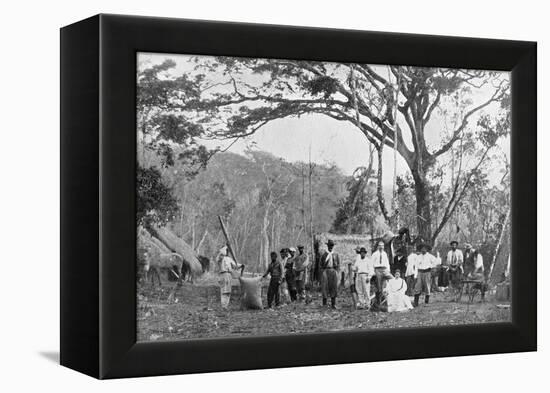 Paraguayan Tea Gathering, Paraguay, 1911-null-Framed Premier Image Canvas