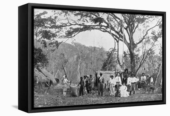Paraguayan Tea Gathering, Paraguay, 1911-null-Framed Premier Image Canvas