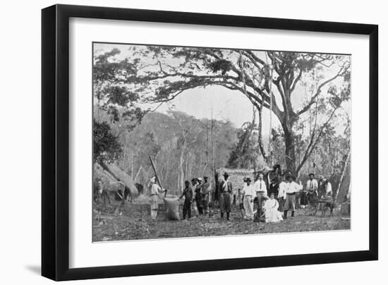 Paraguayan Tea Gathering, Paraguay, 1911-null-Framed Giclee Print