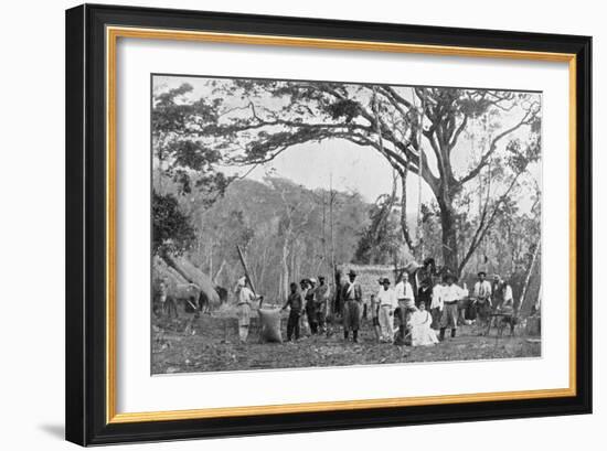 Paraguayan Tea Gathering, Paraguay, 1911-null-Framed Giclee Print