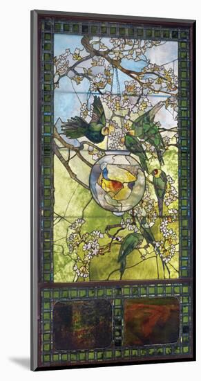 Parakeets and Gold Fish Bowl, about 1893-Louis Comfort Tiffany-Mounted Art Print