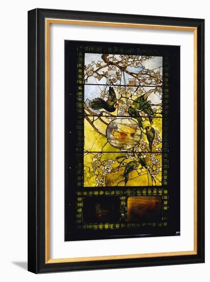 Parakeets and Gold Fish Bowl, C.1893-Louis Comfort Tiffany-Framed Giclee Print