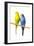 Parakeets-null-Framed Photographic Print