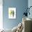 Parakeets-null-Photographic Print displayed on a wall