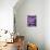 Parallel Purple Mauve-Jacqueline Maldonado-Mounted Art Print displayed on a wall