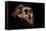 Paranthropus Boisei Skull-Javier Trueba-Framed Premier Image Canvas