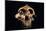 Paranthropus Boisei Skull-Javier Trueba-Mounted Photographic Print