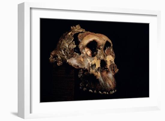 Paranthropus Boisei Skull-Javier Trueba-Framed Photographic Print