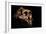 Paranthropus Boisei Skull-Javier Trueba-Framed Photographic Print