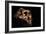 Paranthropus Boisei Skull-Javier Trueba-Framed Photographic Print