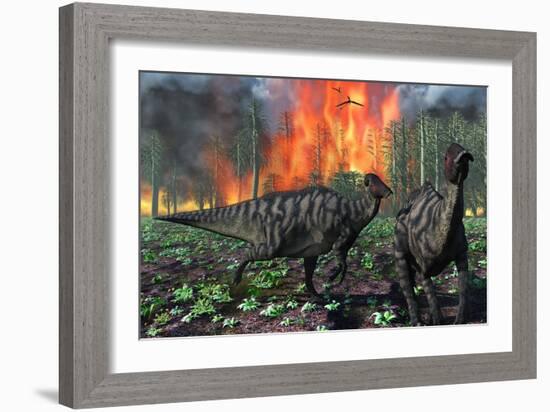 Parasaurolophus Duckbill Dinosaurs Fleeing a Deadly Forest Fire-null-Framed Art Print