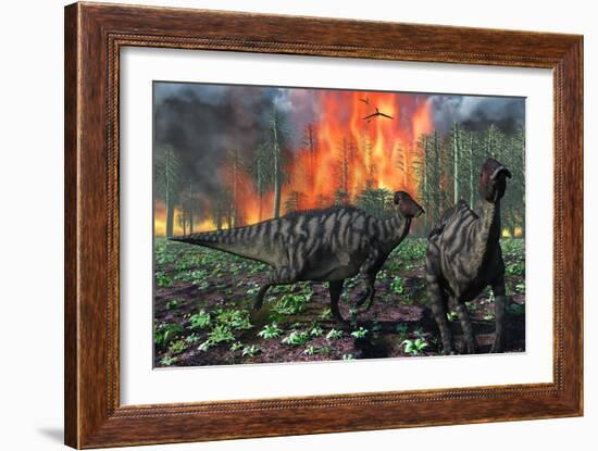 Parasaurolophus Duckbill Dinosaurs Fleeing a Deadly Forest Fire-null-Framed Art Print