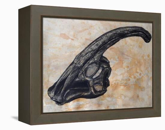 Parasaurolophus Walkerii Dinosaur Skull-Stocktrek Images-Framed Stretched Canvas