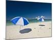 Premium Photographic Print