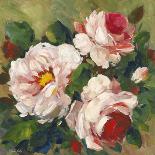 Rose Garden II-Parastoo Ganjei-Mounted Giclee Print