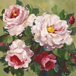 Rose Garden II-Parastoo Ganjei-Mounted Giclee Print