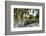 Parc De La Ciutadella, Barcelona, Catalonia, Spain-Mark Mawson-Framed Photographic Print