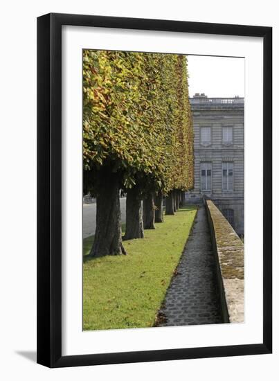 Parc du château de Compiègne-null-Framed Giclee Print