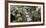 Parc Panel-Alan Blaustein-Framed Photographic Print