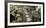 Parc Panel-Alan Blaustein-Framed Photographic Print