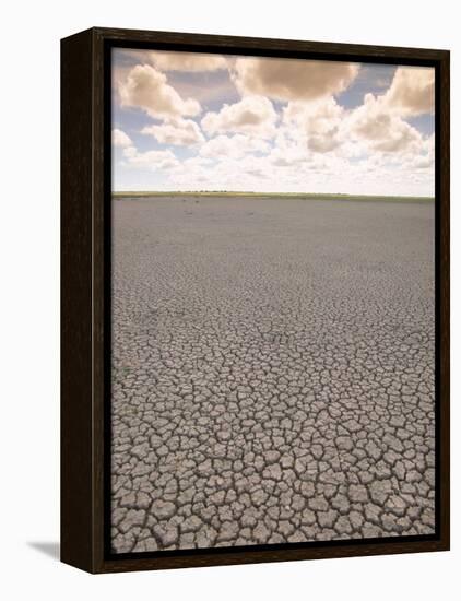 Parched Earth, Etosha National Park, Namibia-Walter Bibikow-Framed Premier Image Canvas