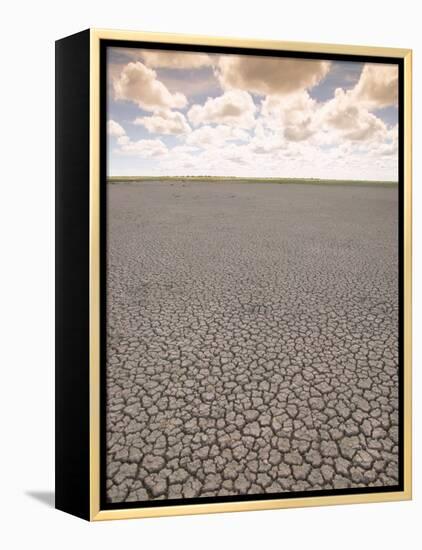 Parched Earth, Etosha National Park, Namibia-Walter Bibikow-Framed Premier Image Canvas