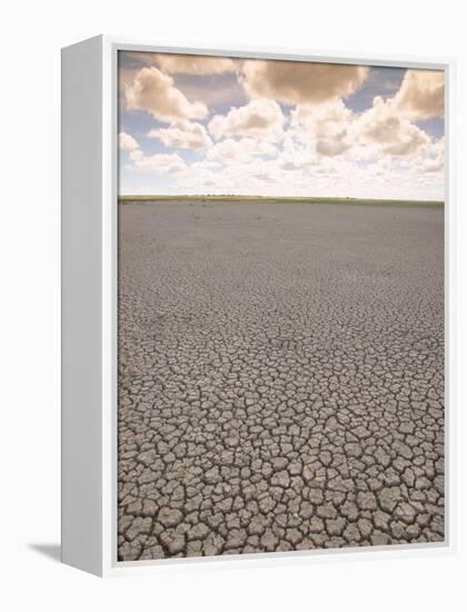 Parched Earth, Etosha National Park, Namibia-Walter Bibikow-Framed Premier Image Canvas