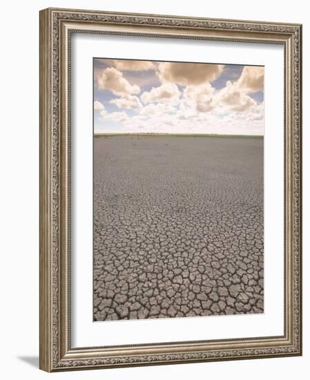 Parched Earth, Etosha National Park, Namibia-Walter Bibikow-Framed Photographic Print