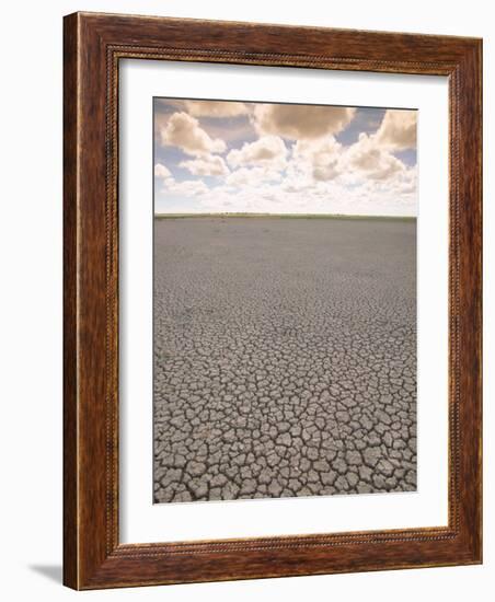 Parched Earth, Etosha National Park, Namibia-Walter Bibikow-Framed Photographic Print