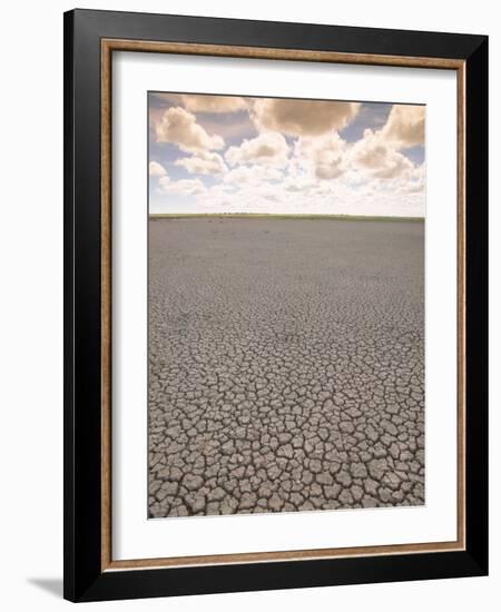 Parched Earth, Etosha National Park, Namibia-Walter Bibikow-Framed Photographic Print