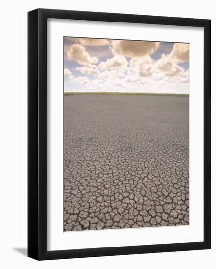 Parched Earth, Etosha National Park, Namibia-Walter Bibikow-Framed Photographic Print