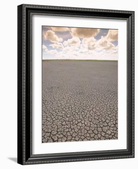 Parched Earth, Etosha National Park, Namibia-Walter Bibikow-Framed Photographic Print