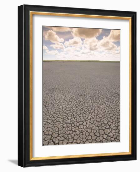 Parched Earth, Etosha National Park, Namibia-Walter Bibikow-Framed Photographic Print