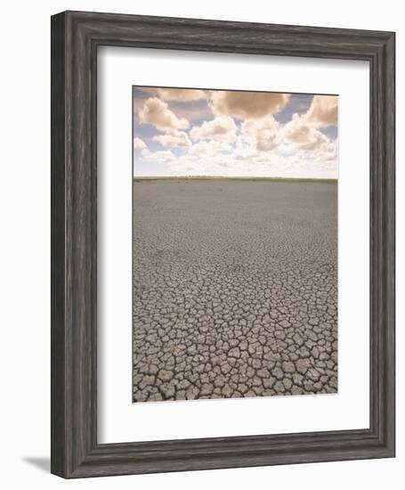 Parched Earth, Etosha National Park, Namibia-Walter Bibikow-Framed Photographic Print